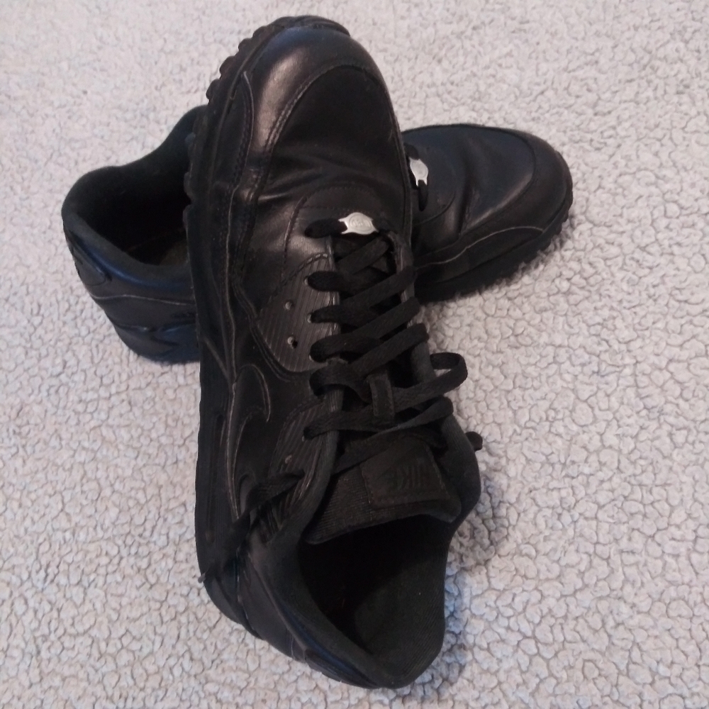 Air Max Nike sneakers